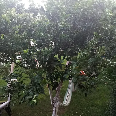 Anna's Bella Casa * קלמאטה