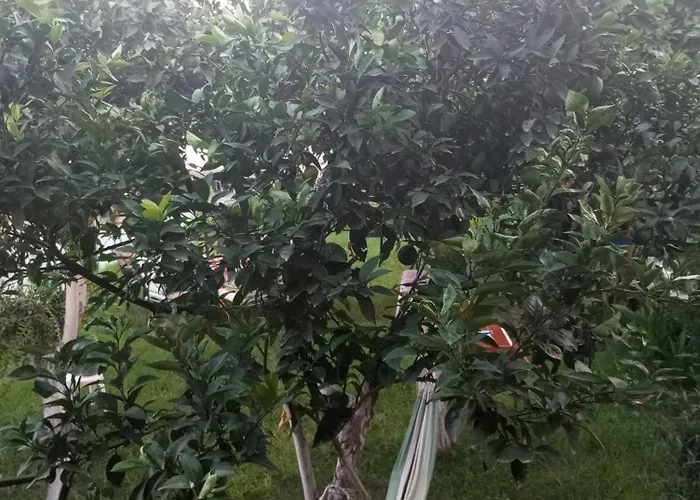 Anna's Bella Casa * Kalamata